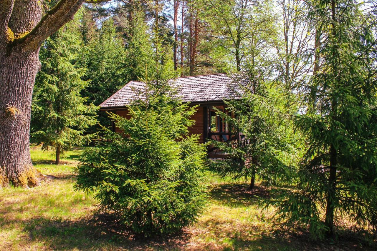 Kempings Lejasbisenieki Turaida Buitenkant foto